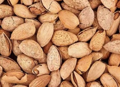 بادام منقا تک پوست خرید
